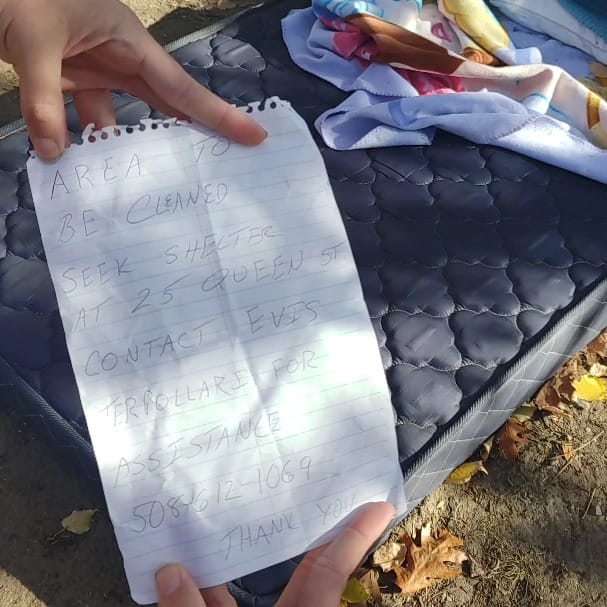 Dear Mr Cahill, stop hunting them.